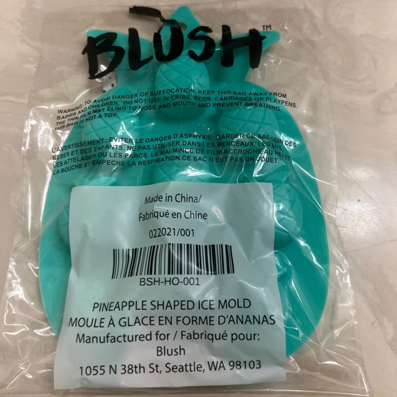 Blush Pineapple Ice cube Tray - Picture 3 of 4